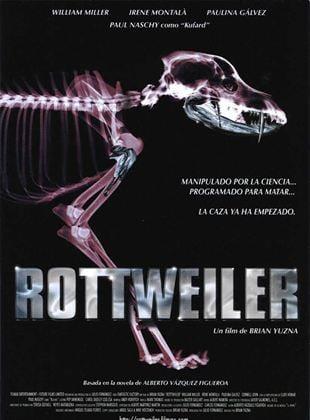 Poster Rottweiler